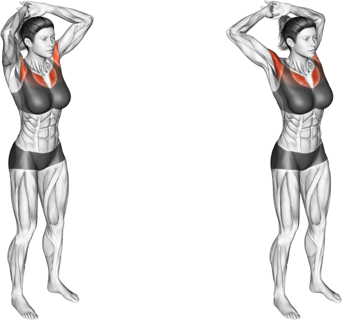 Above Head Chest Stretch