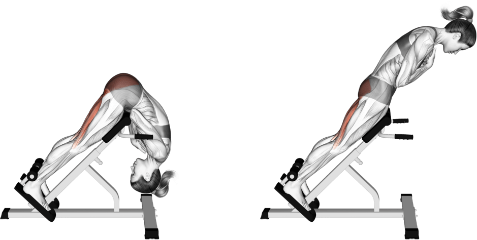 45 Degree Hip Extension Glute Focused