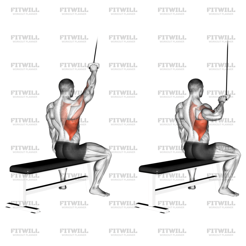 Alternate Lateral Pulldown Exercise Guide Techniques Benefits How to Muscles Worked Tips Tricks Fitwill