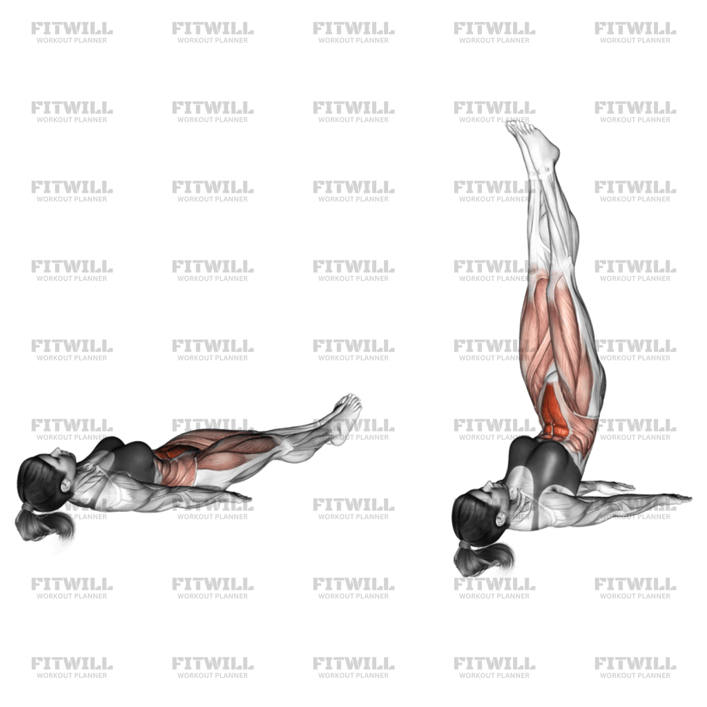 Lying Floor Legs Raises Exercise Guide Video Techniques Benefits How to Muscles Worked Tips Tricks Fitwill