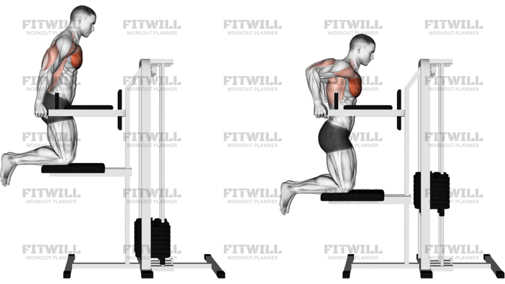 Kneeling Assisted Chest Dip