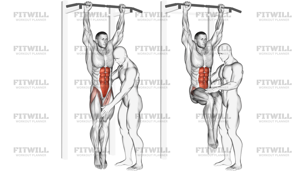 Assisted Hanging Knee Raise