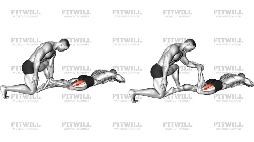 Assisted Prone Hamstring