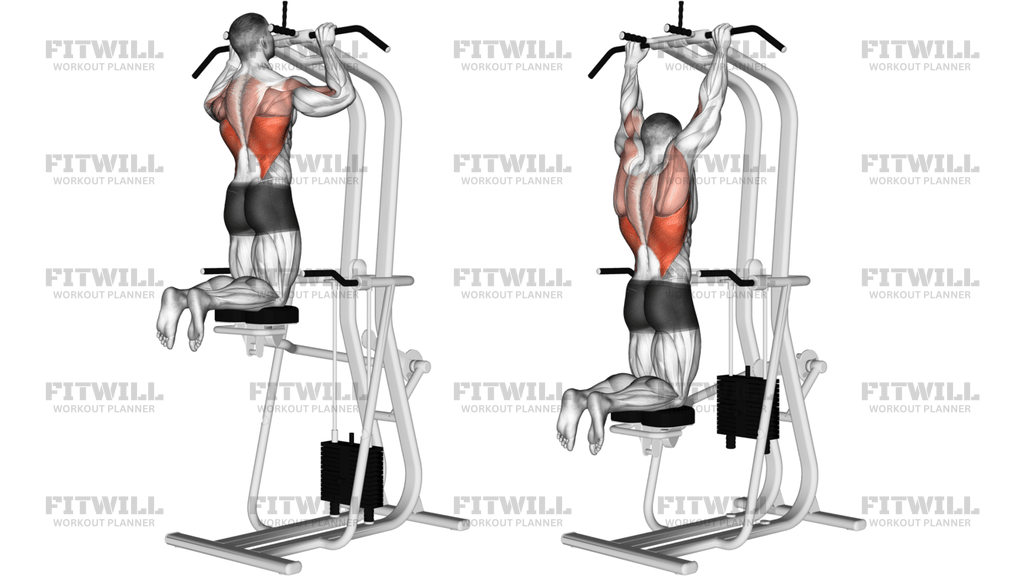 Assisted Pull-Up