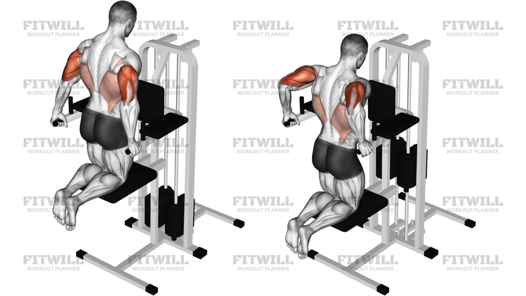 Kneeling Assisted Triceps Dip