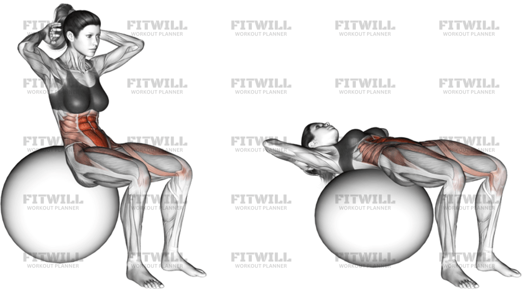 Ball Sit-Up On Stability Ball