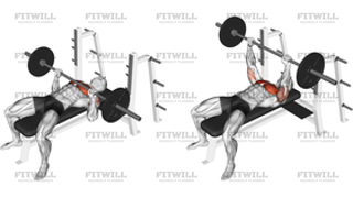 Barbell Bench Press