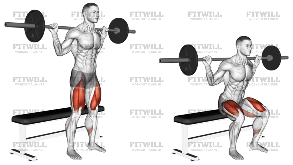 Barbell Bench Squat