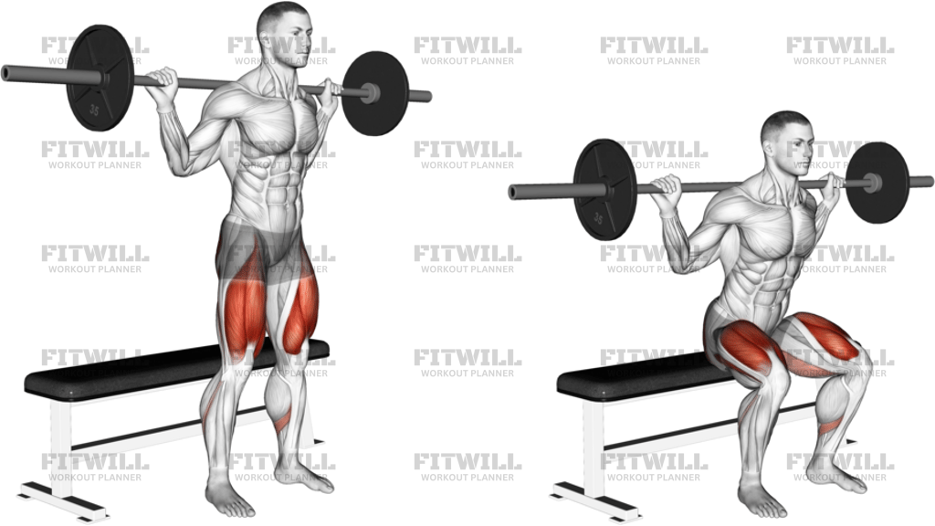 Barbell Bench Squat