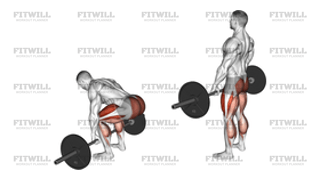 Barbell Deadlift