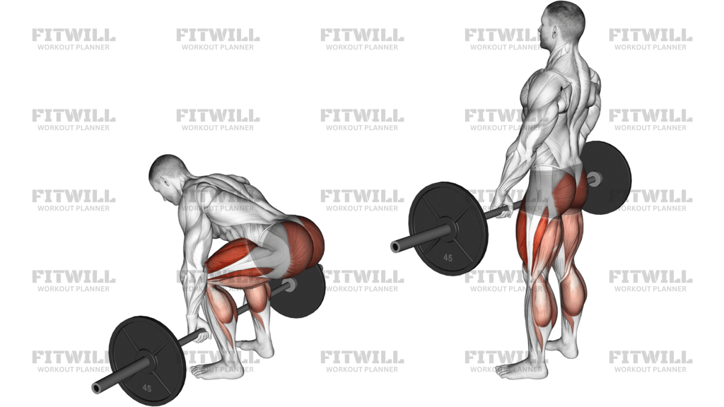Barbell Deadlift