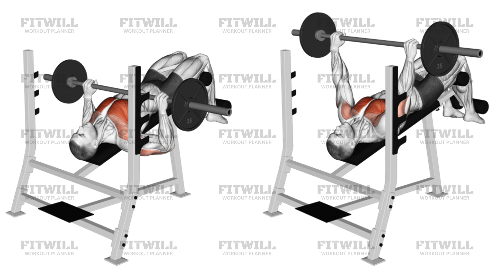 Decline bench press muscles used sale