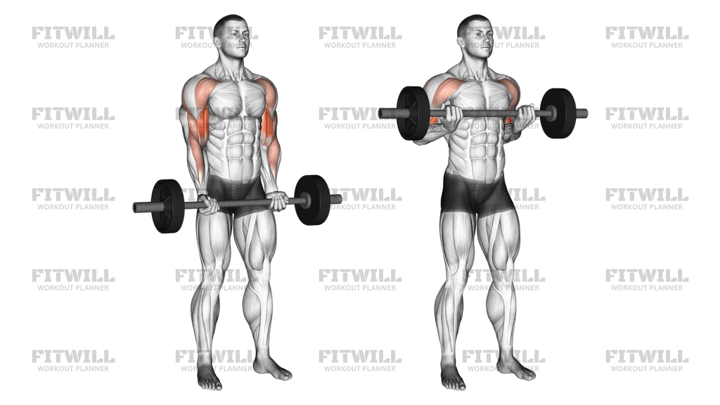 Barbell Drag Curl Exercise Guide Video Techniques Benefits How to Muscles Worked Tips Tricks Fitwill