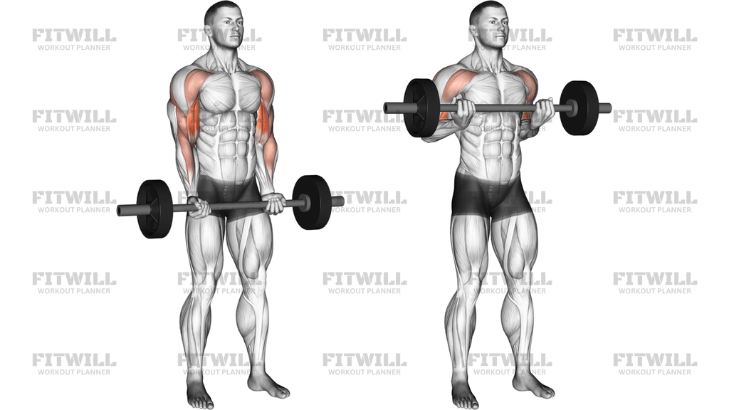 Barbell Drag Curl