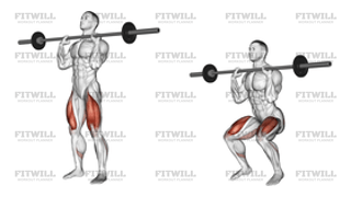 Barbell Front Chest Squat