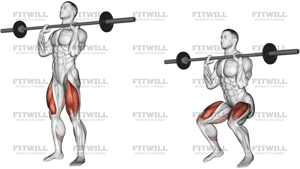 Barbell Front Chest Squat