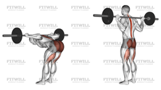 Barbell Good Morning