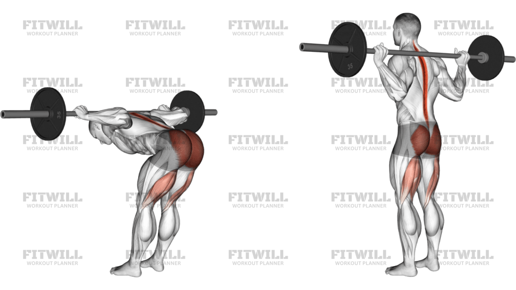 Barbell Good Morning