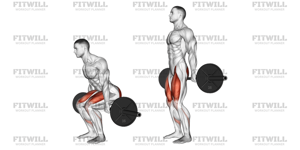 Barbell Hack Squat Exercise Guide Video Techniques Benefits How to Muscles Worked Tips Tricks Fitwill