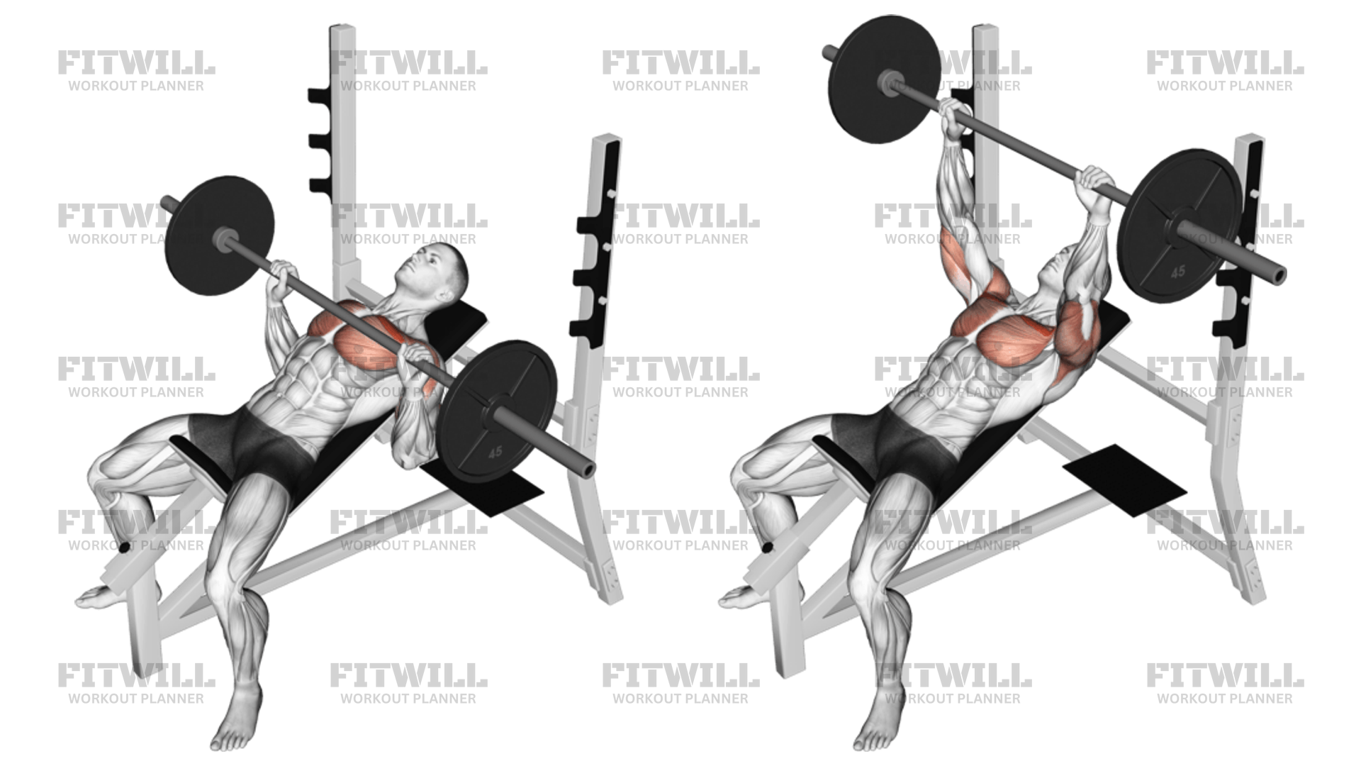 Barbell Incline Bench Press Exercise Guide Video Techniques Benefits How to Muscles Worked Tips Tricks Fitwill