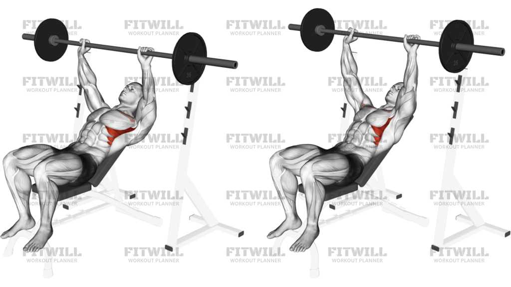 Barbell Incline Shoulder Raise