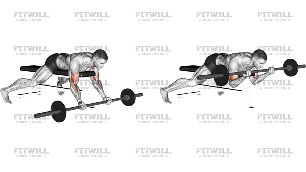 Barbell Lying Preacher Curl