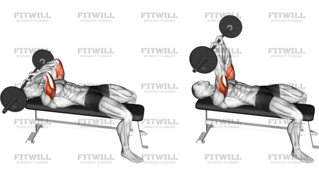 Barbell Lying Triceps Extension Skull Crusher