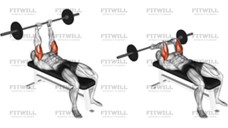 Barbell Lying Triceps Extension