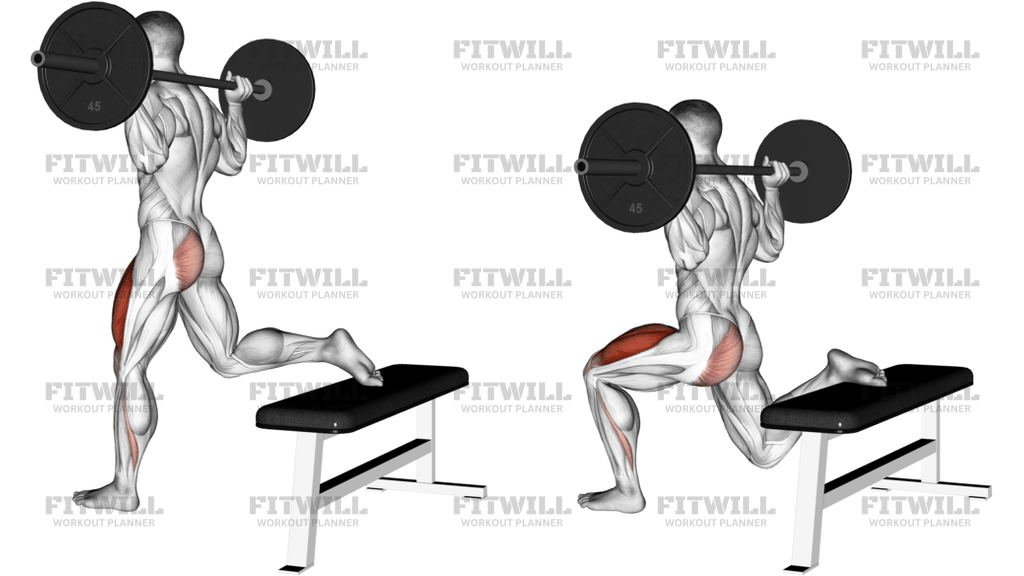 Barbell One Leg Squat
