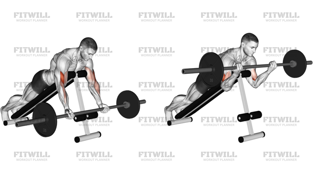 Barbell Prone Incline Curl
