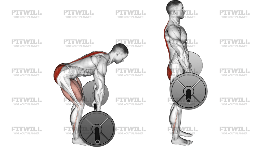Barbell Rack Pull