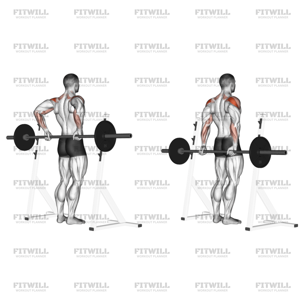 Barbell rear delt raise hotsell
