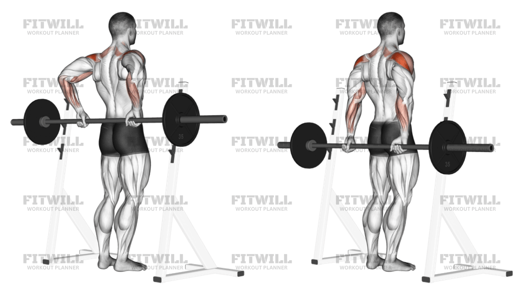 Barbell Rear Delt Raise Exercise Guide Video Techniques Benefits How to Muscles Worked Tips Tricks Fitwill