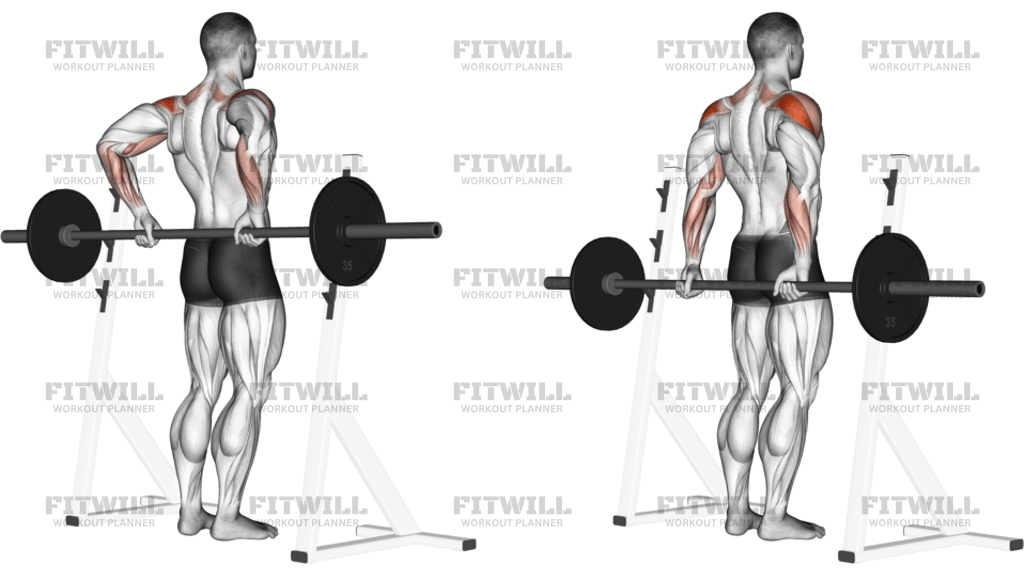 Barbell Rear Delt Raise