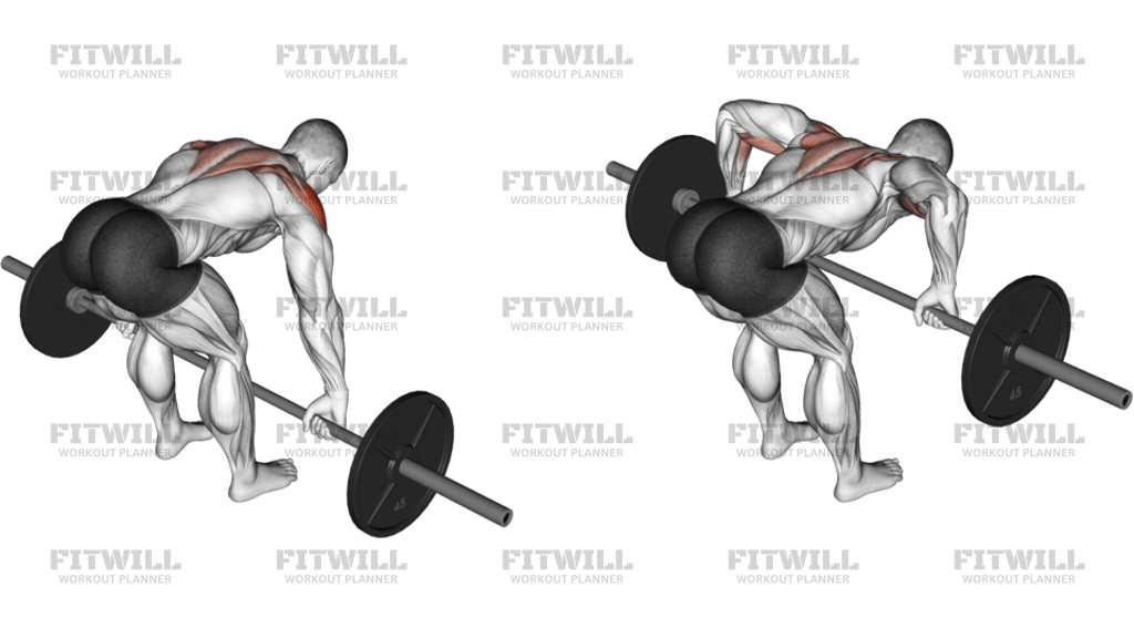 Barbell Rear Delt Row