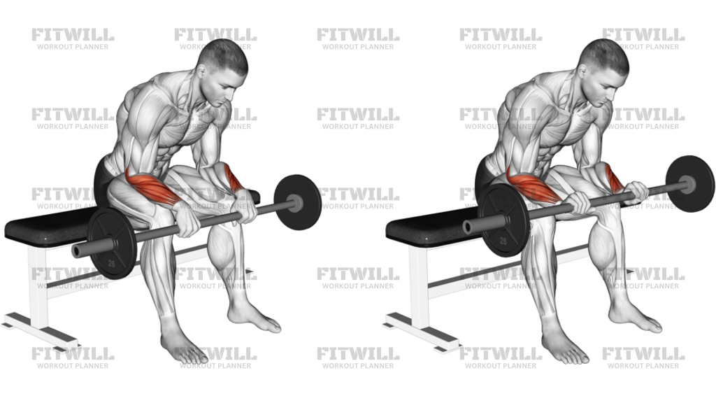 Barbell Reverse Wrist Curl Version 2