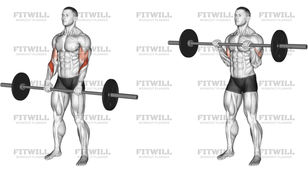Barbell Reverse Curl