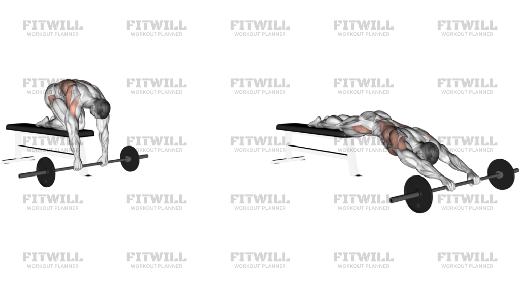 Barbell Rollout From Bench