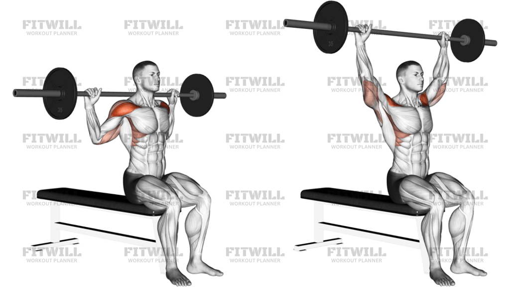 Barbell Seated Behind Head Military Press