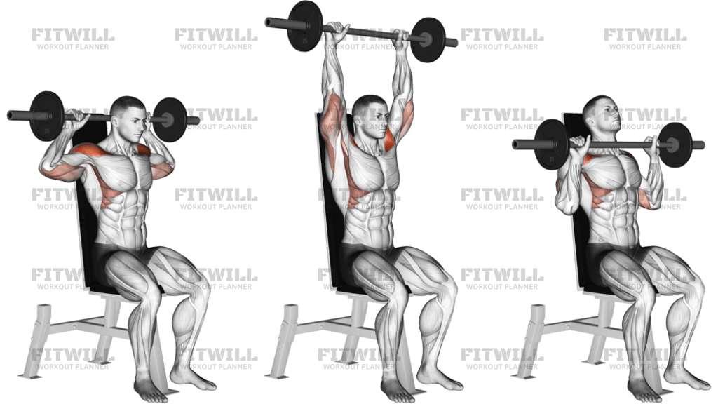 Barbell Seated Bradford Rocky Press