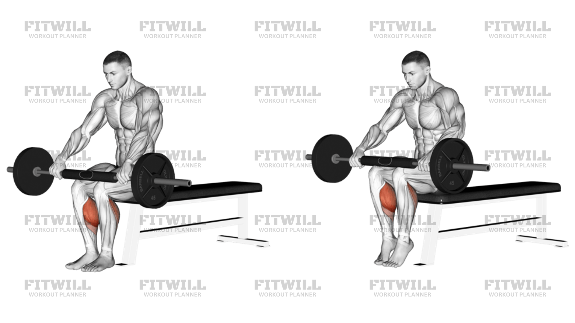 Calf workout barbell sale