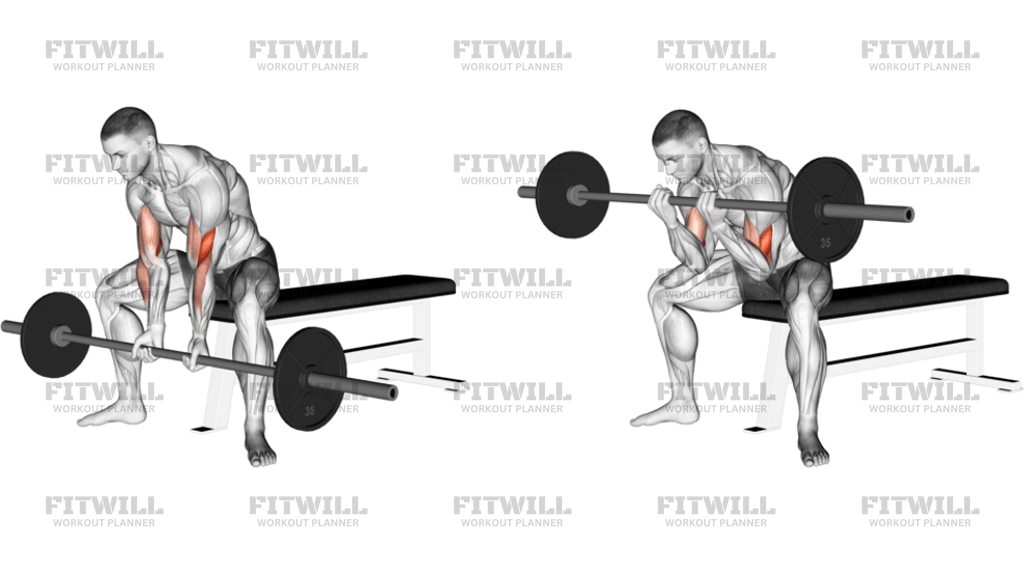 Barbell Seated Close-Grip Concentration Curl