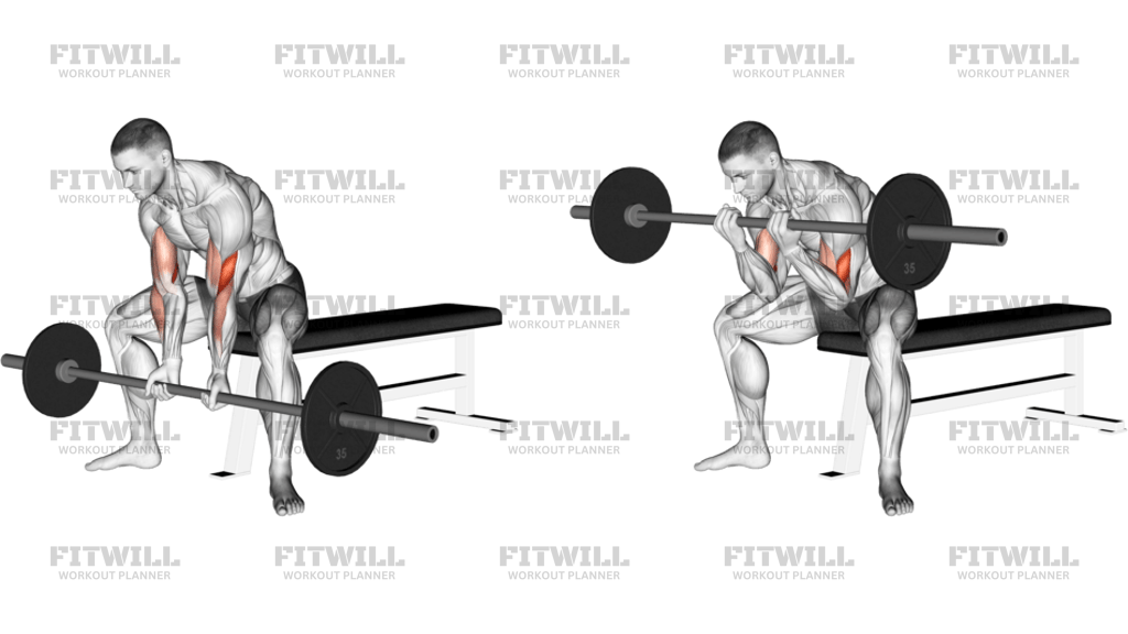 Barbell Seated Close-Grip Concentration Curl
