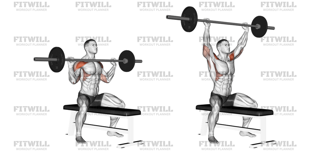 Dumbbell seated overhead press hotsell