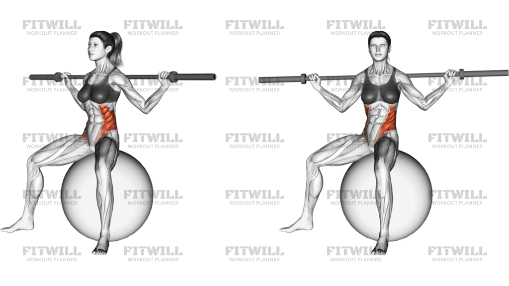 Barbell Seated Twist On Stability Ball