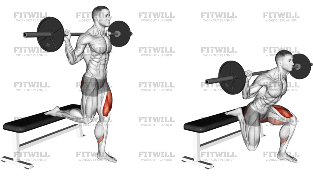 Barbell Single Leg Split Squat