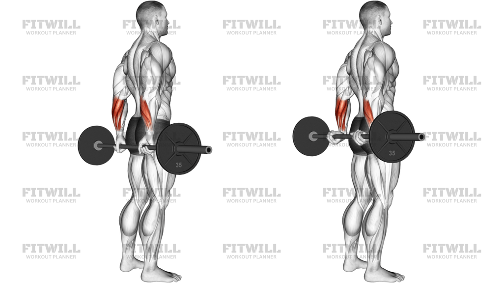 Barbell Standing Back Wrist Curl