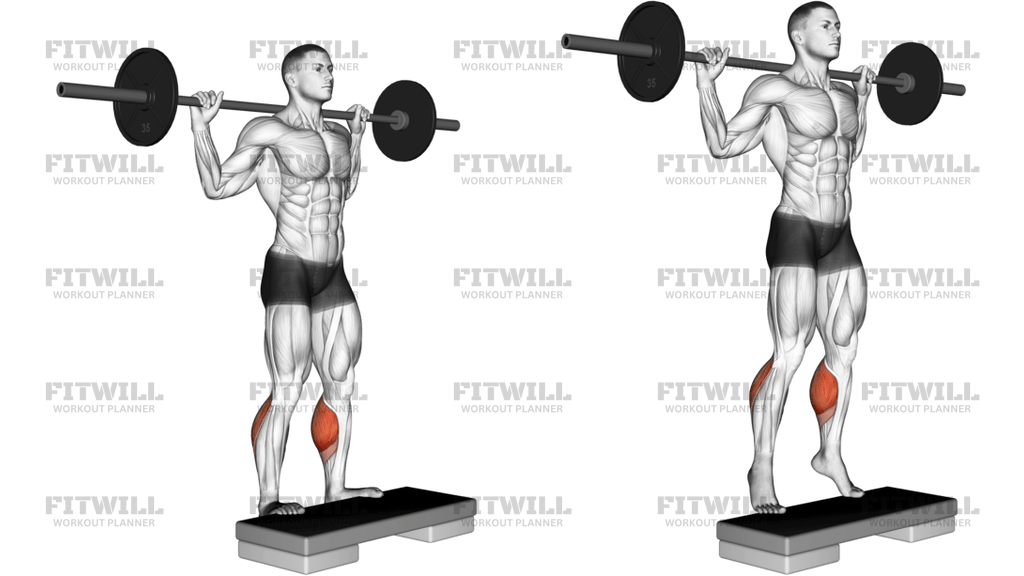Barbell Standing Leg Calf Raise