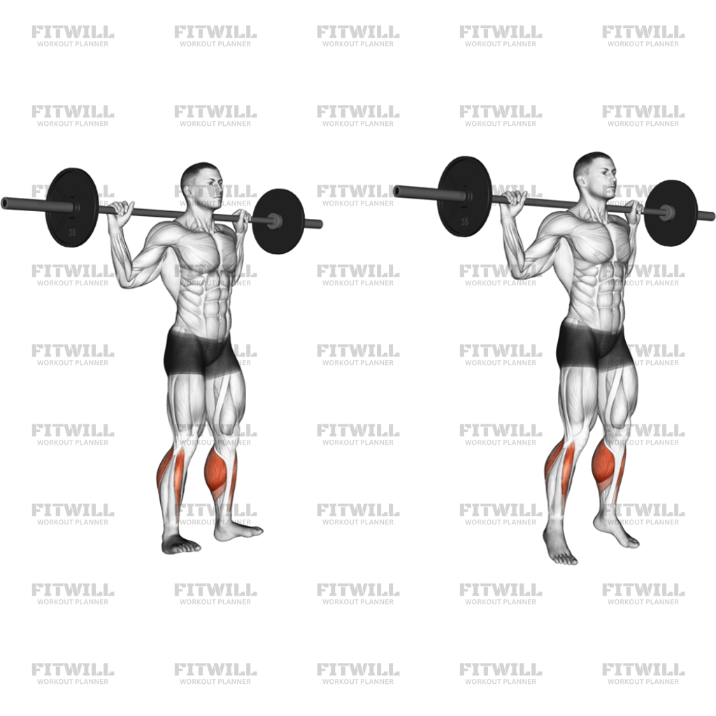 Barbell Standing Rocking Leg Calf Raise: Exercise Guide, Techniques ...