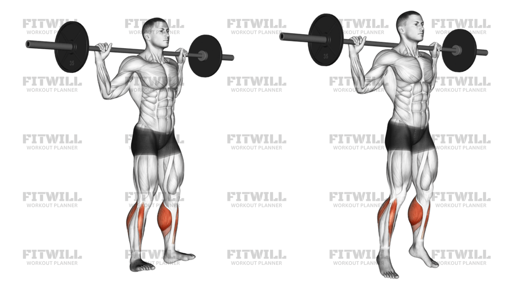 Barbell Standing Rocking Leg Calf Raise Exercise Guide Techniques Benefits How to Muscles Worked Tips Tricks Fitwill